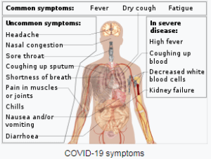 symptoms system